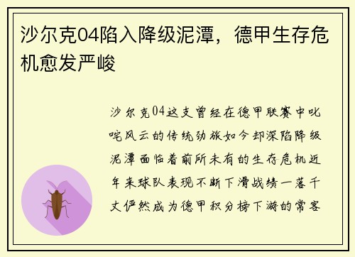 沙尔克04陷入降级泥潭，德甲生存危机愈发严峻