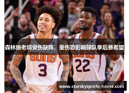 森林狼老将受伤缺阵，重伤恐影响球队季后赛希望
